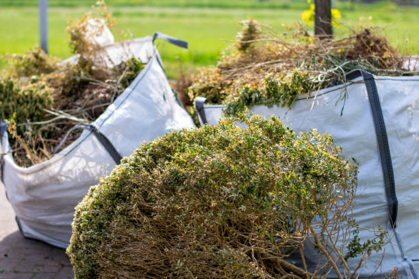 Best Yard Waste Removal  in Peoria Heights, IL